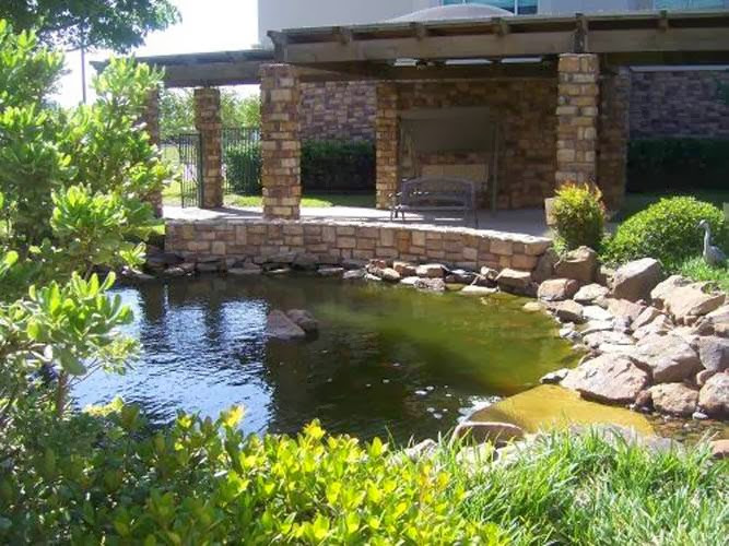 a small pond in the backyard