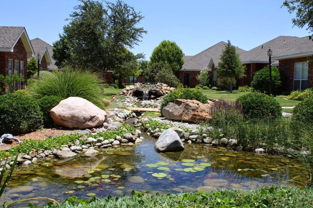 a pond with rocks and water plants in the fore