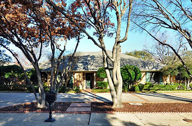 a street with trees and houses in the background